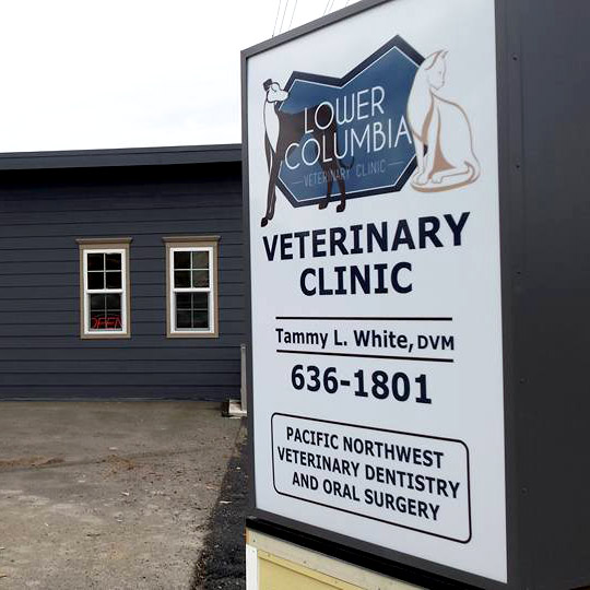 Lower Columbia Veterinary Clinic building exterior