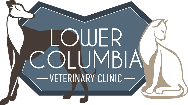Lower Columbia Veterinary Clinic