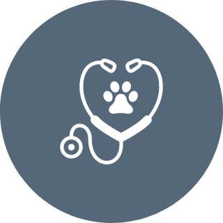 Pet Internal Medicine Icon