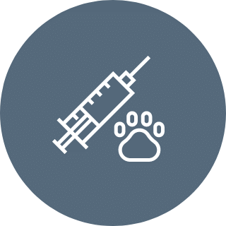 Pet Vaccines Icon
